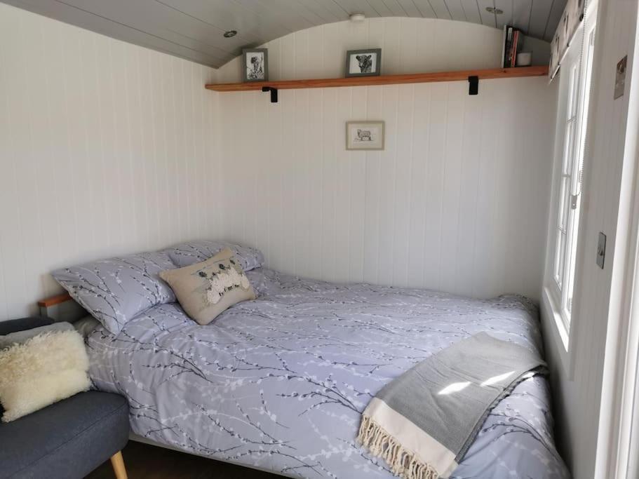 Elvan Farm Shepherd'S Hut Exeter Exterior foto