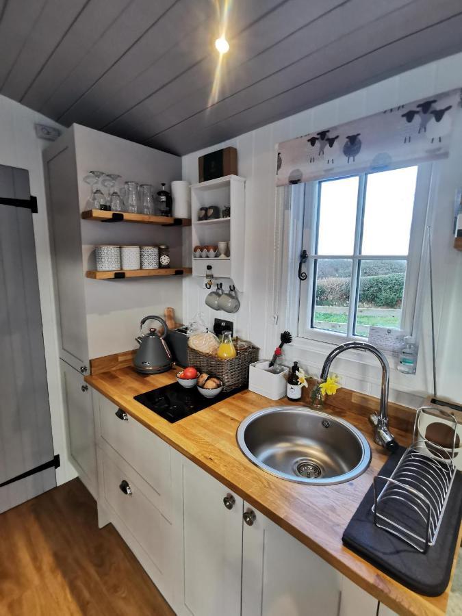 Elvan Farm Shepherd'S Hut Exeter Exterior foto