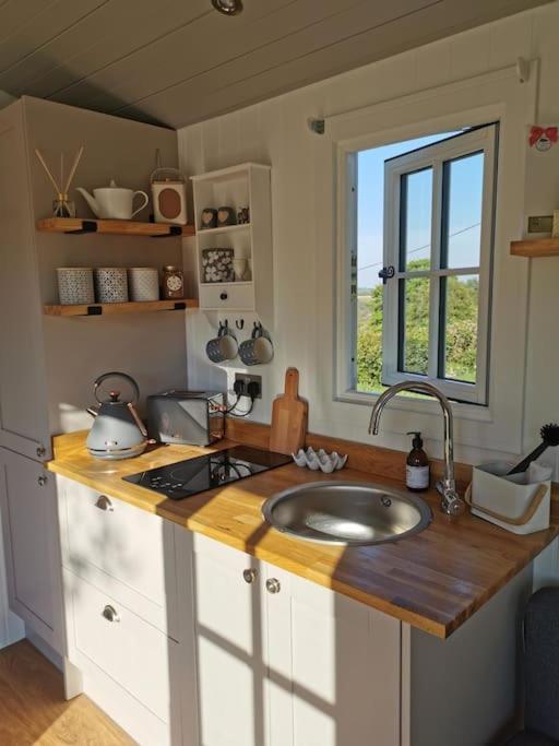 Elvan Farm Shepherd'S Hut Exeter Exterior foto